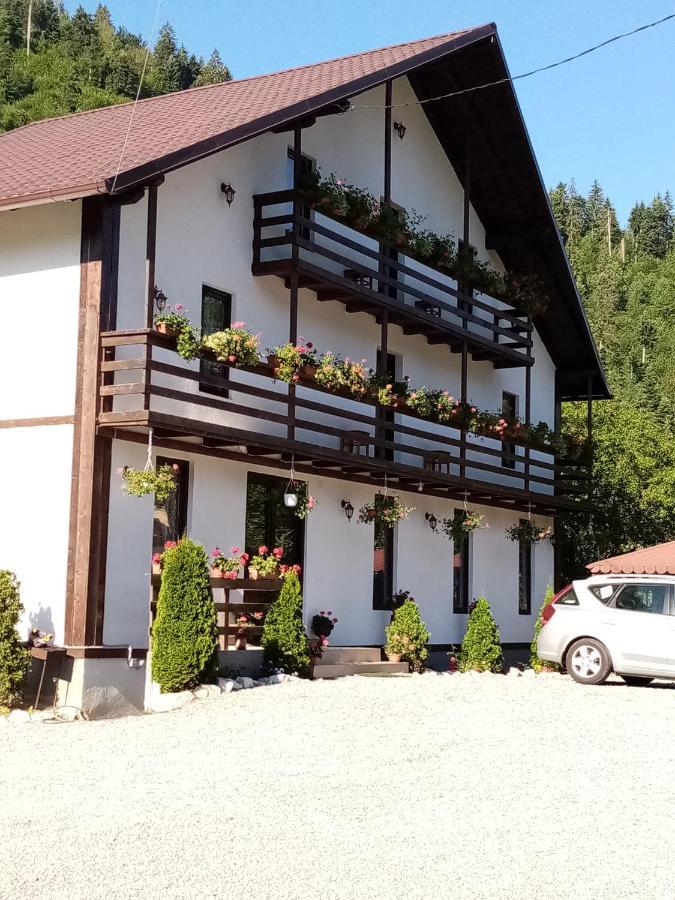 Casa Ursului Villa Vadu Motilor Eksteriør bilde