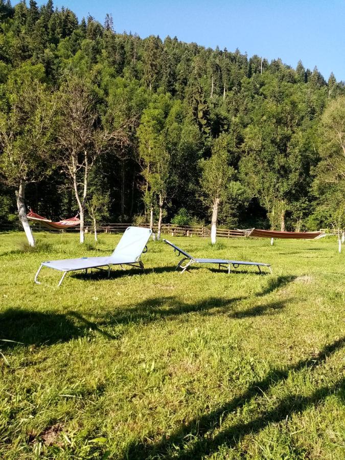 Casa Ursului Villa Vadu Motilor Eksteriør bilde