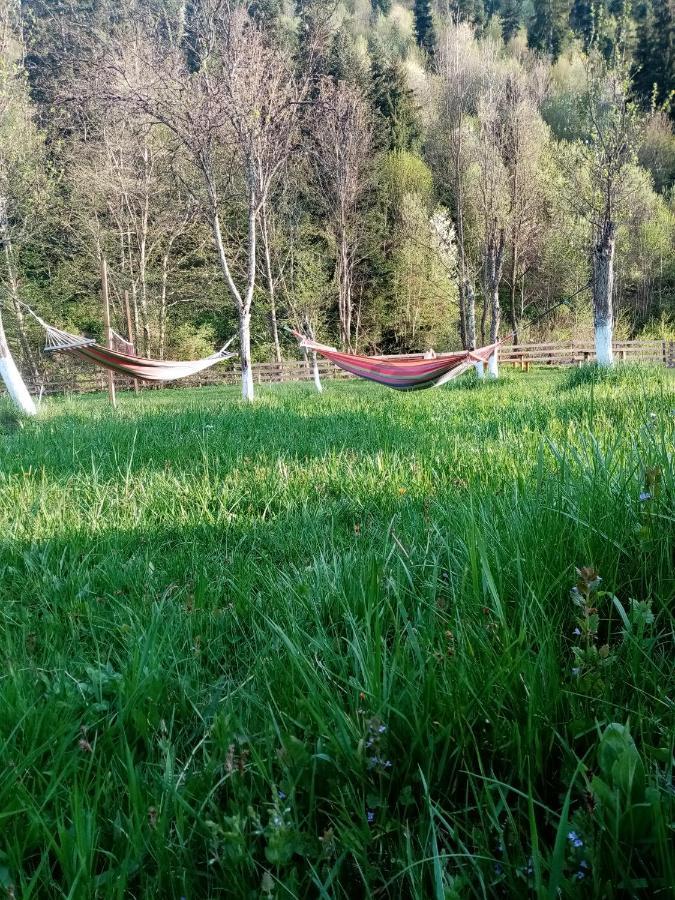 Casa Ursului Villa Vadu Motilor Eksteriør bilde