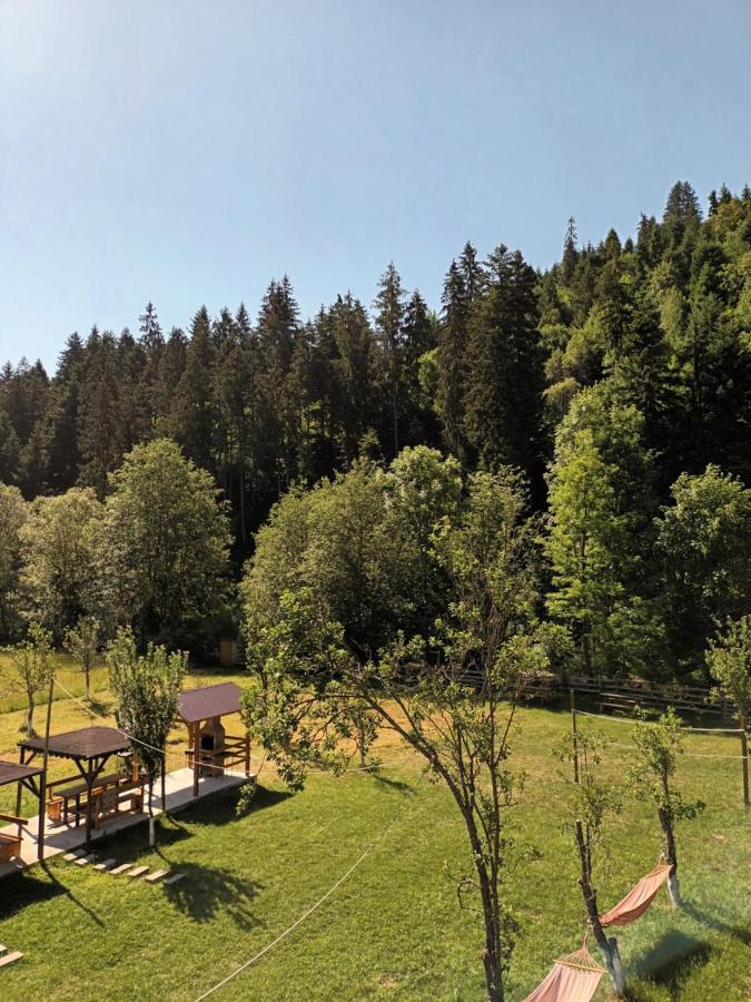 Casa Ursului Villa Vadu Motilor Eksteriør bilde