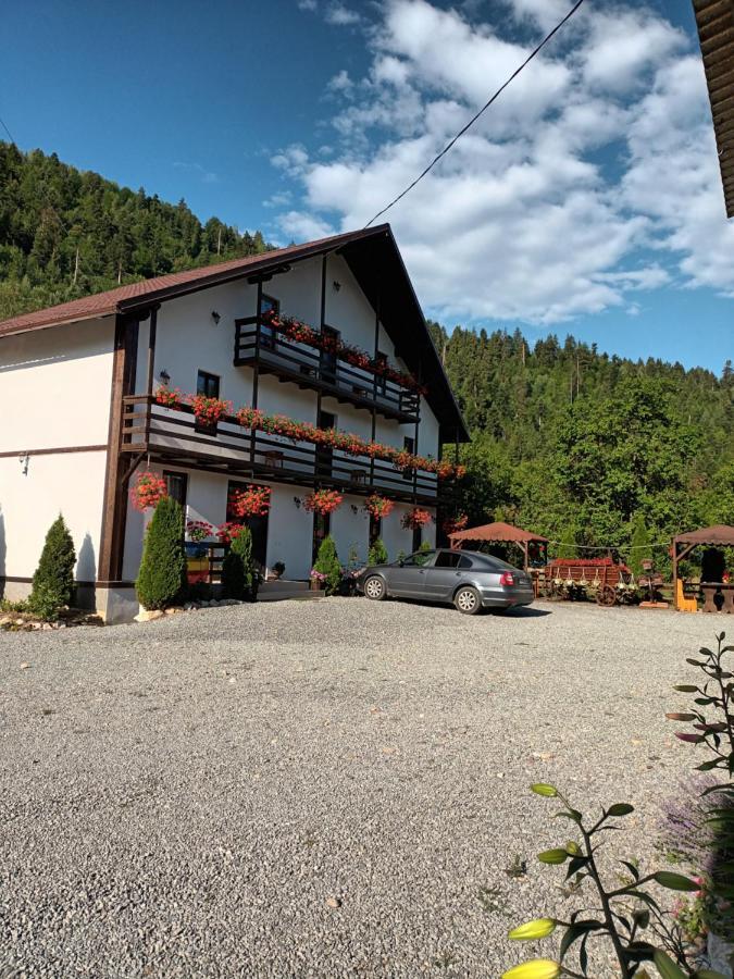Casa Ursului Villa Vadu Motilor Eksteriør bilde