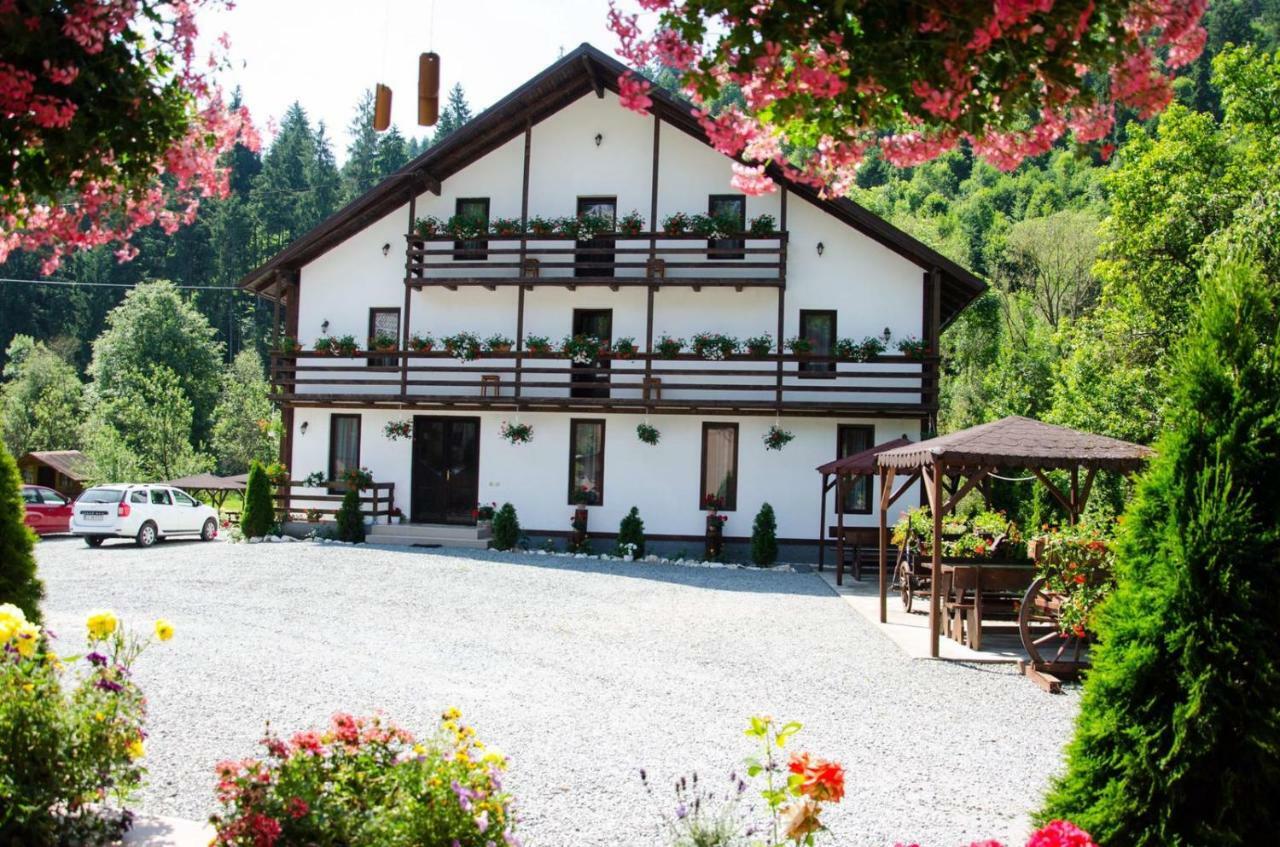 Casa Ursului Villa Vadu Motilor Eksteriør bilde